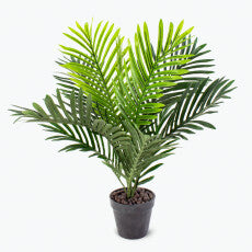 Flora palm H: 60 cm