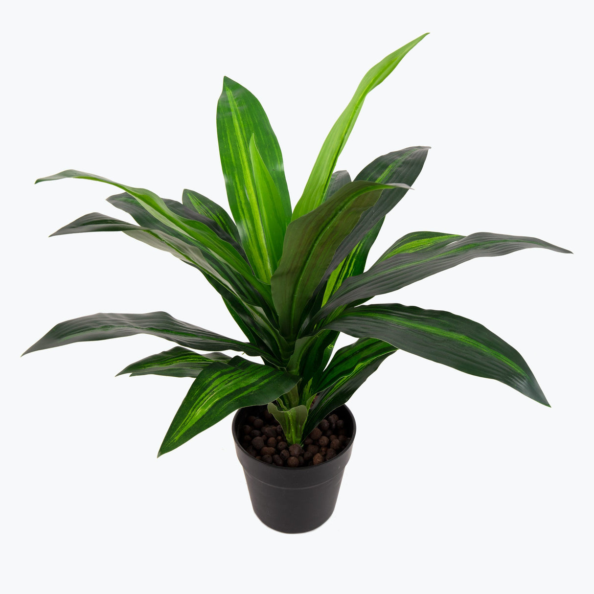 Flora Dracena 65 cm