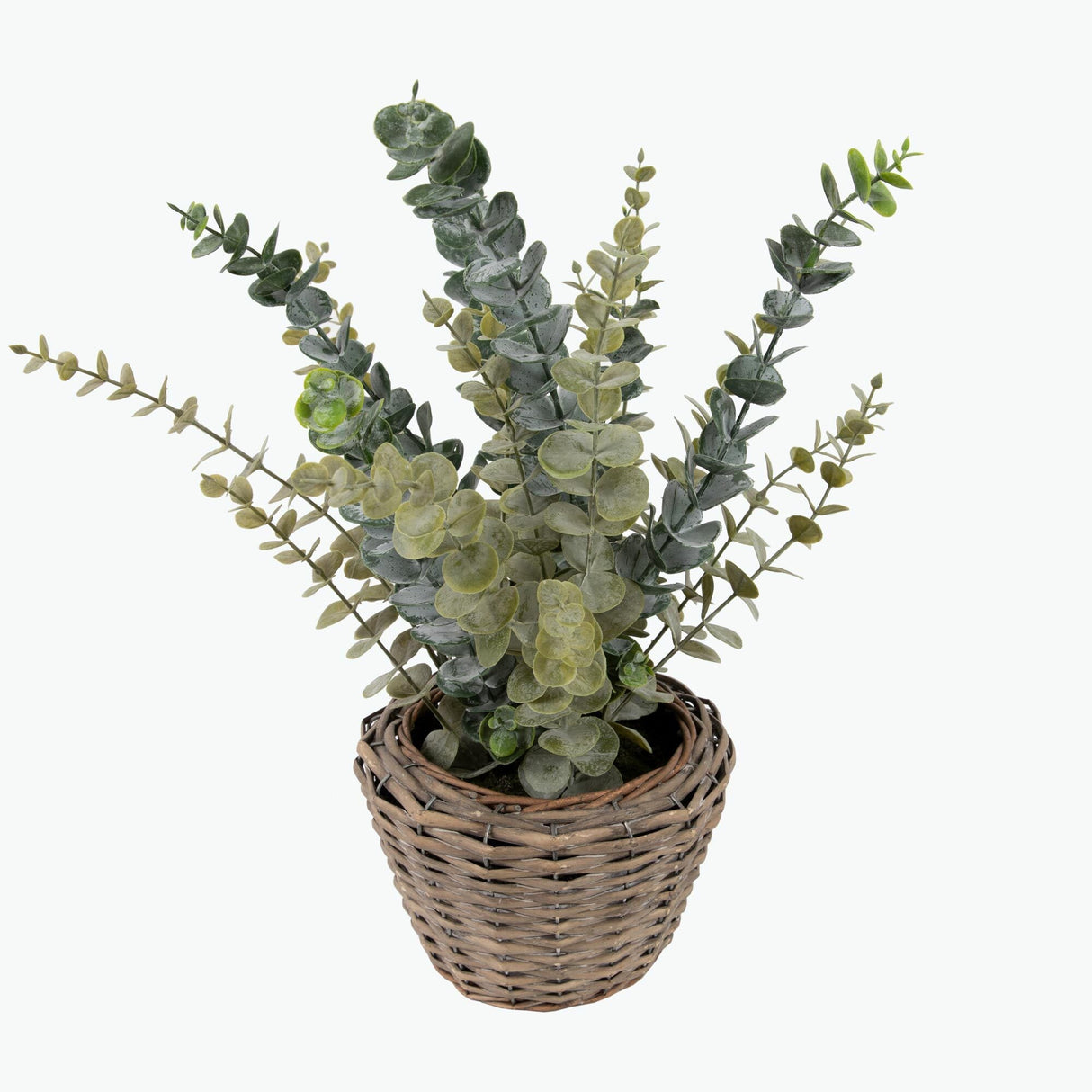 Flora Eucalyptus 50 cm