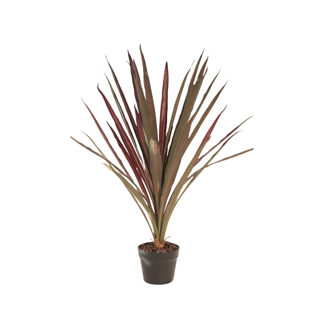 Flora Red Star 85 cm