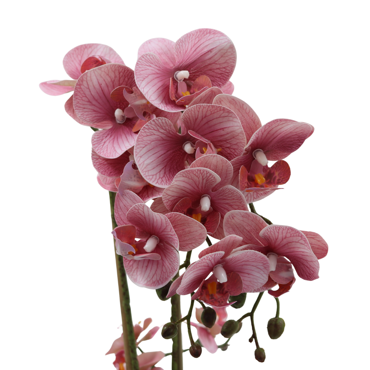 Orkidé rosa 47 cm m/hvit kruka