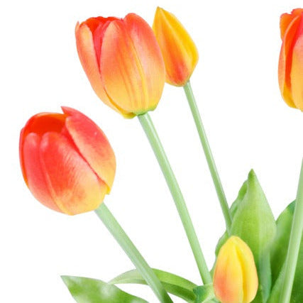 Tulip tulpaner gul/röd 40 cm 5 st