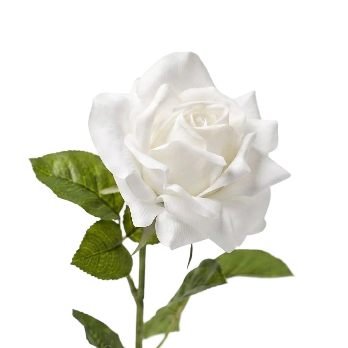 Rose vit 64 cm