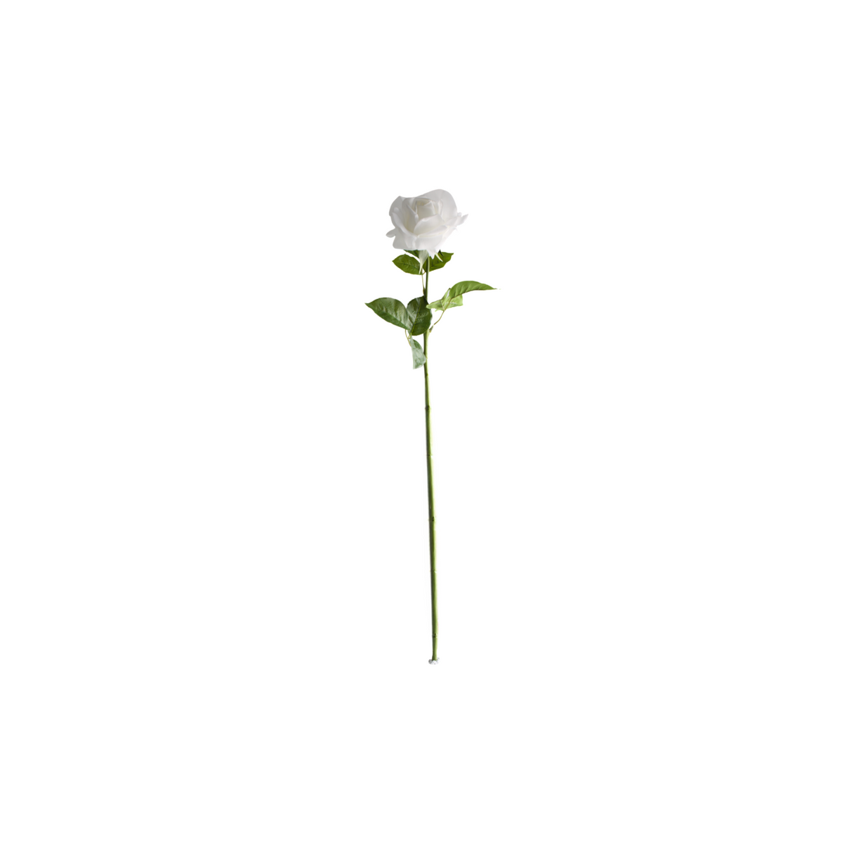 Rose vit 64 cm