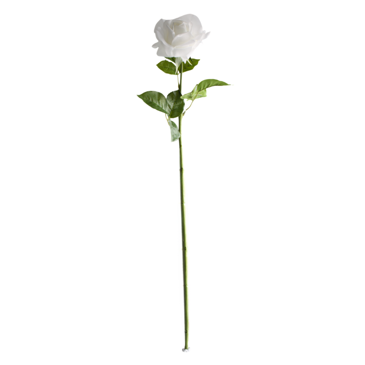 Rose vit 64 cm