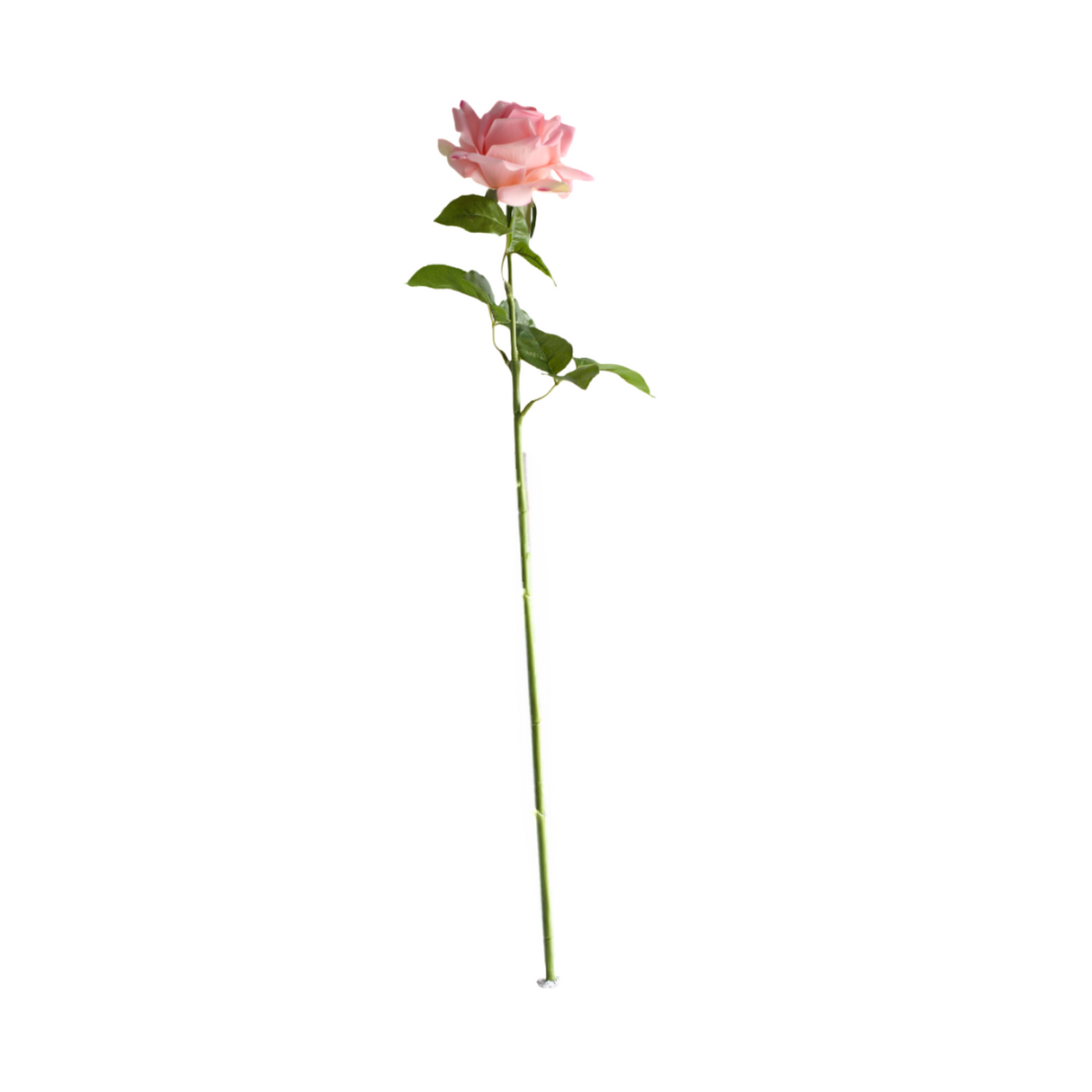 Rose rosa 64 cm