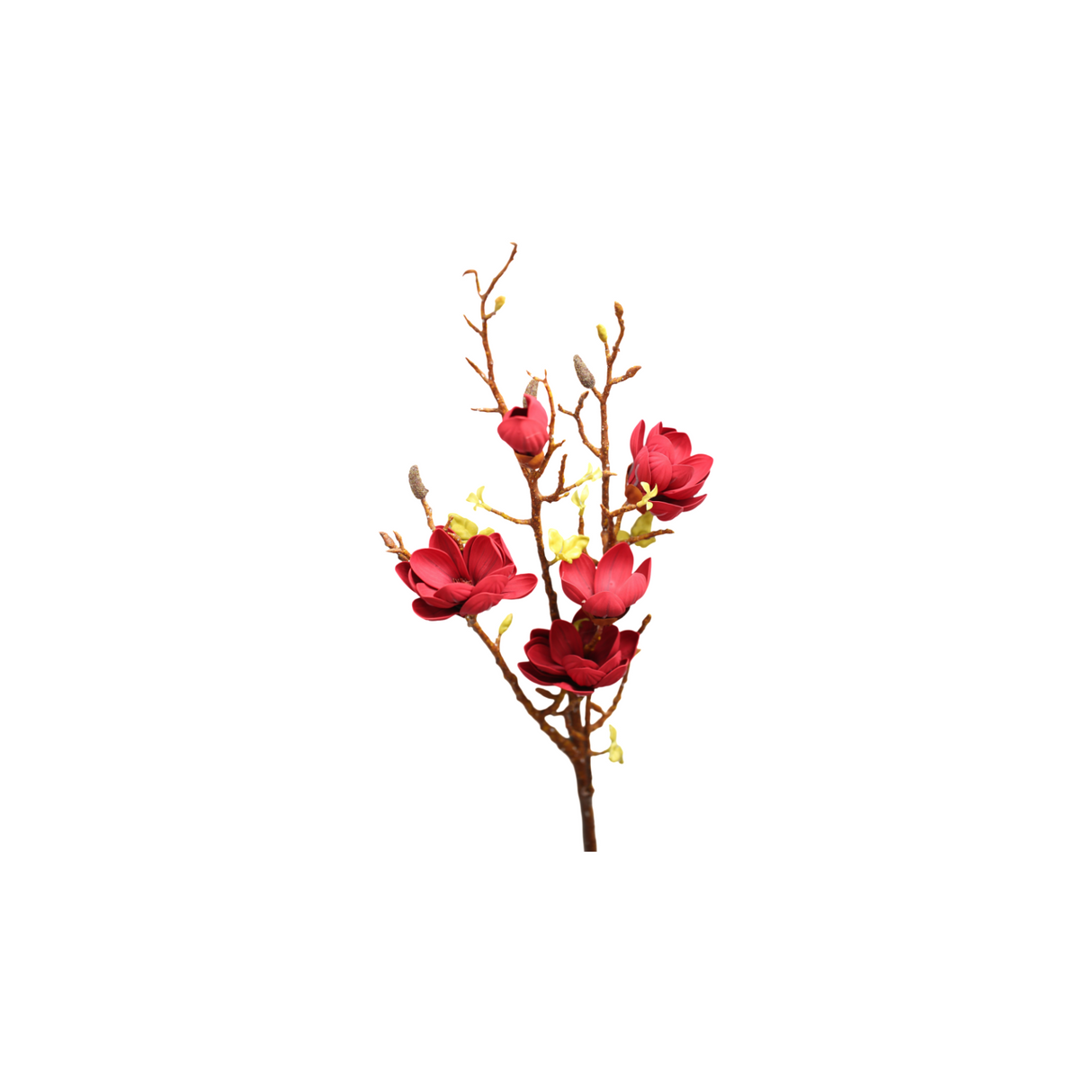 Magnolia vinröd 106 cm
