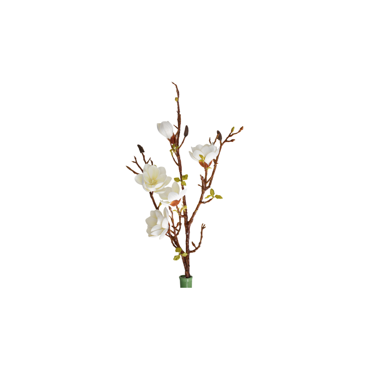 Magnolia vit 106 cm