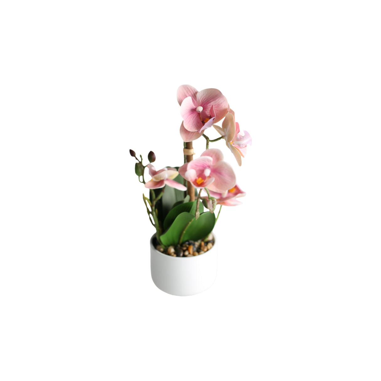 Orkidé rosa 30 cm