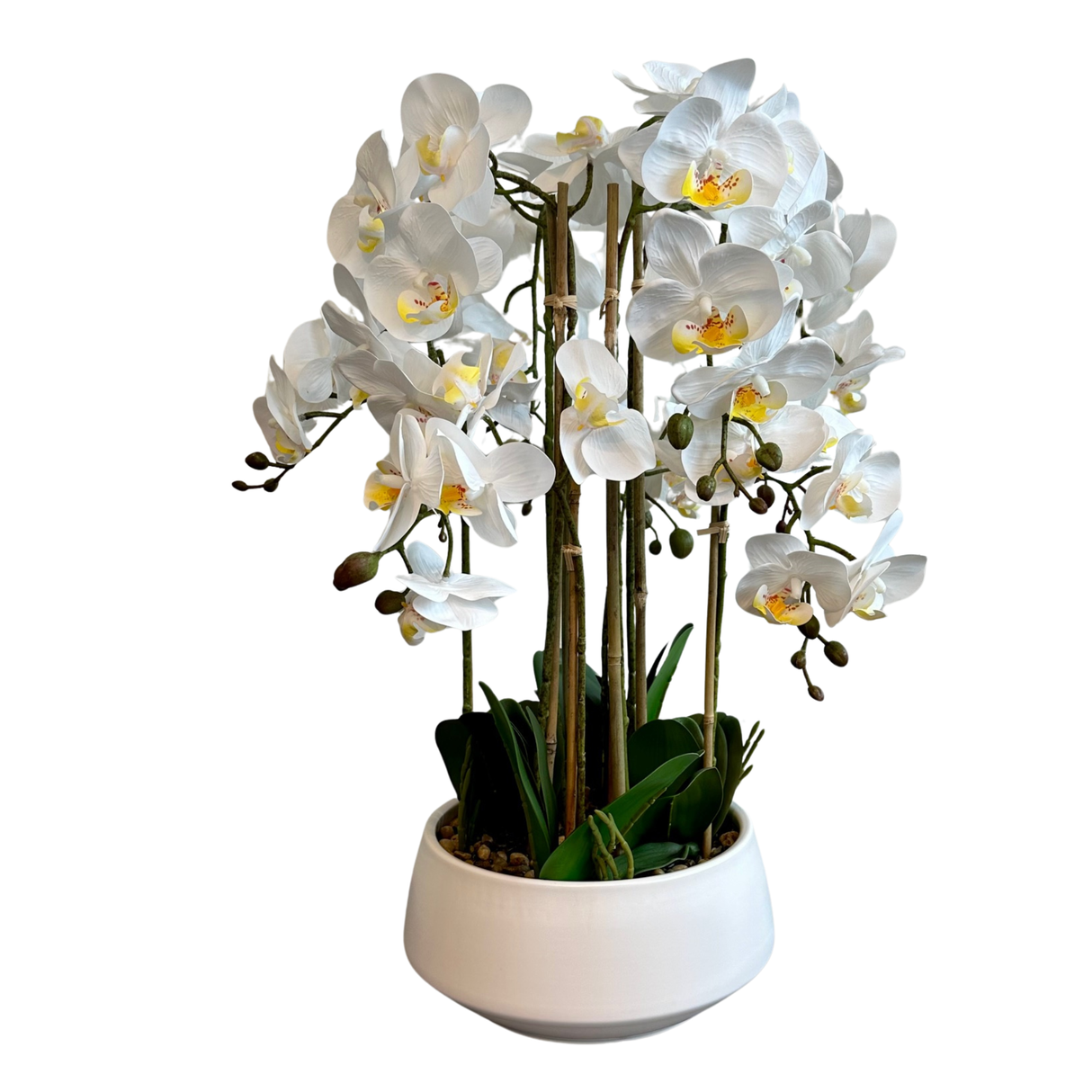 Vit orkidé 52 cm m/vit kruka
