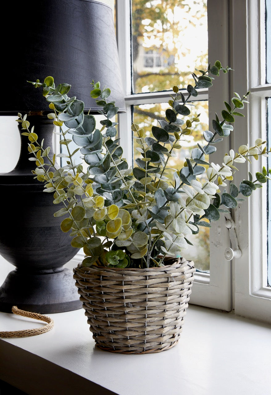 Flora Eucalyptus 50 cm