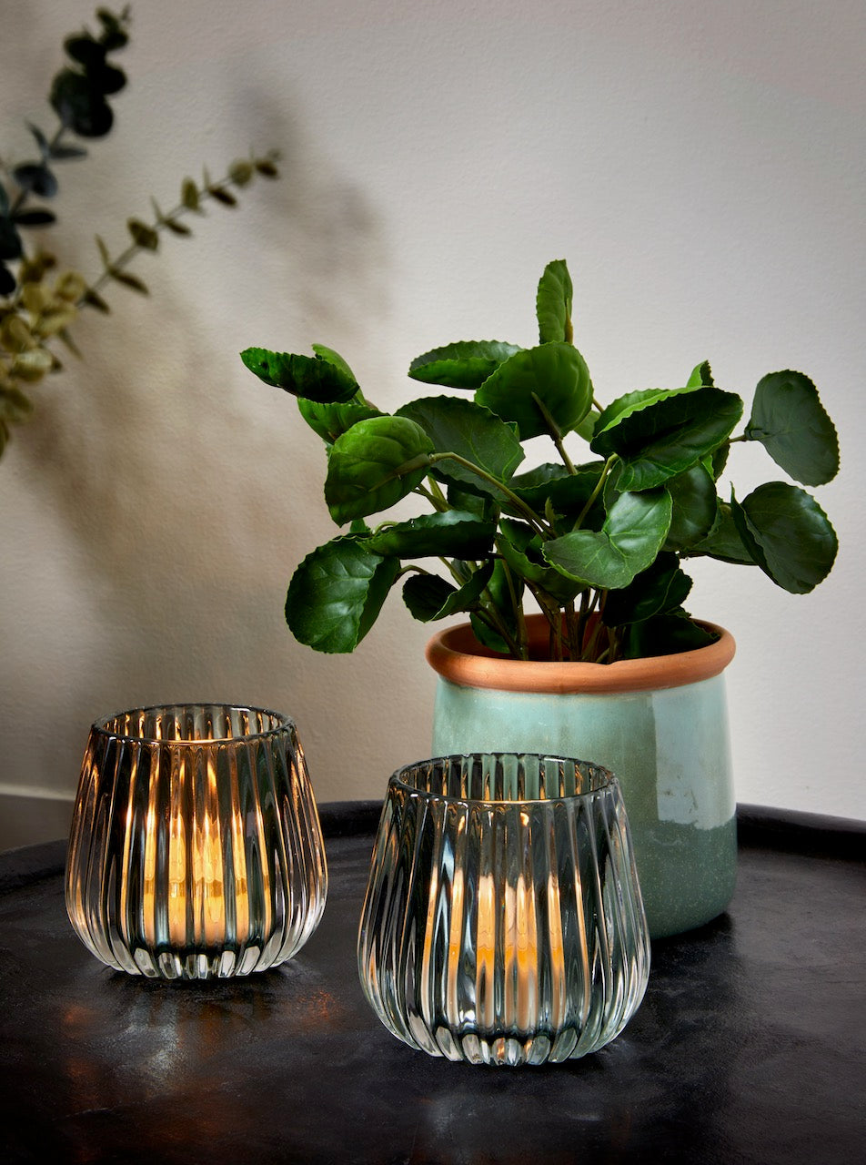 Flora Elefantöra