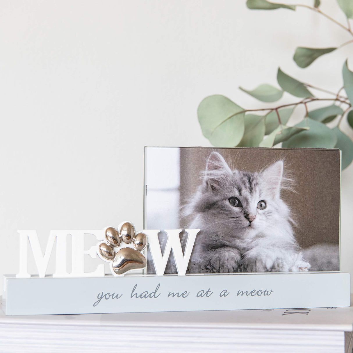 Meow ram