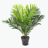 Flora palm H: 60 cm