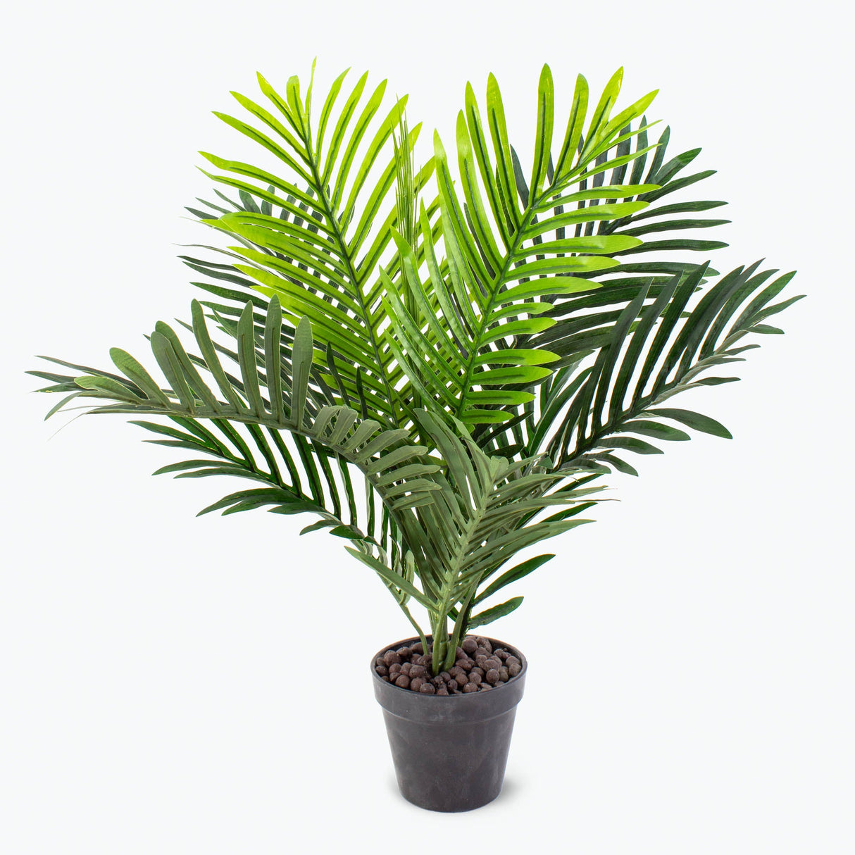 Flora palm H: 60 cm