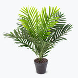 Flora palm H: 60 cm