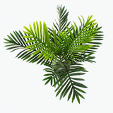 Flora palm H: 60 cm