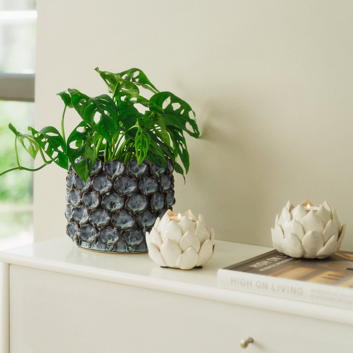 Biloba Green kruka