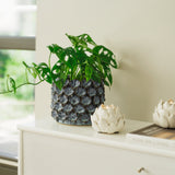 Biloba Blue kruka