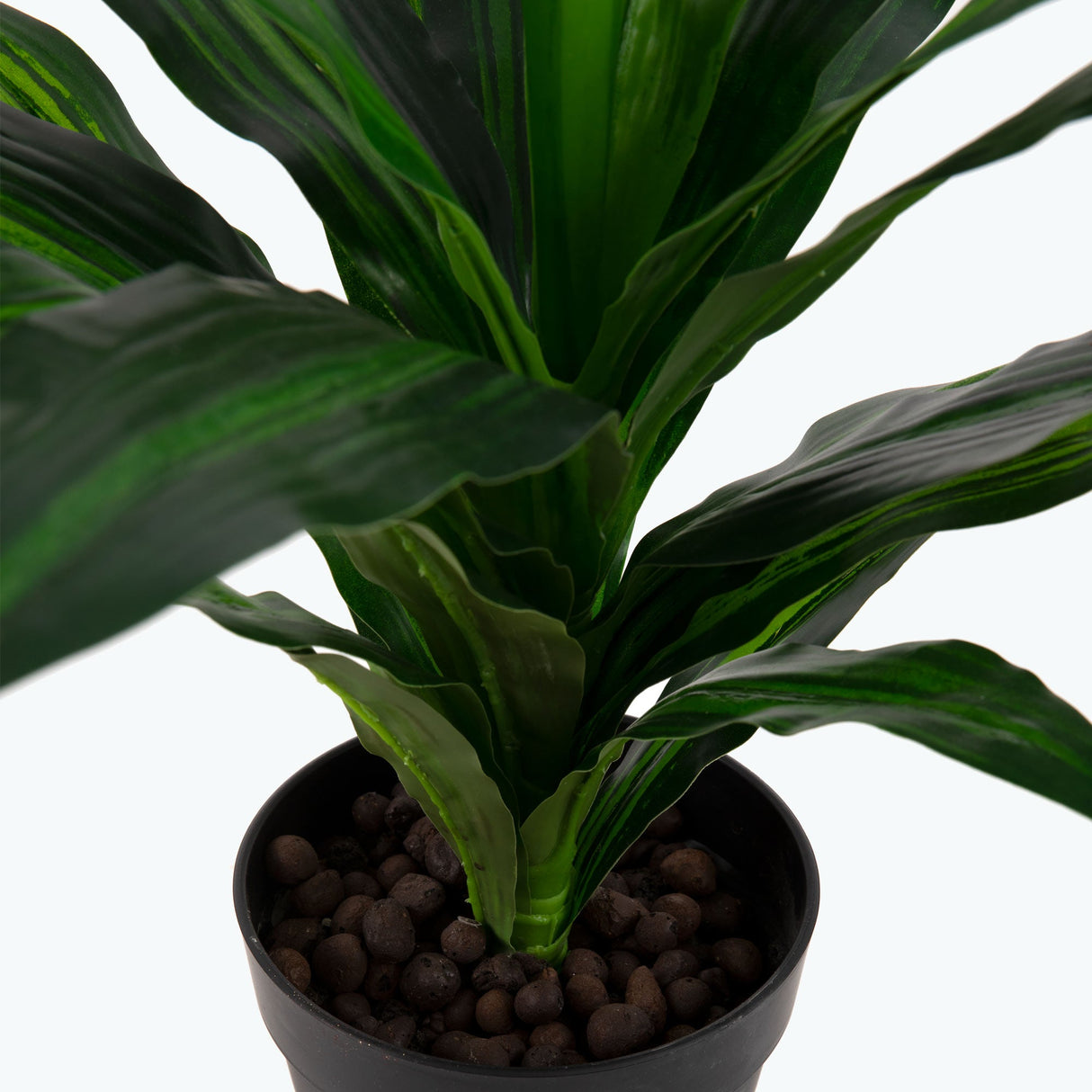 Flora Dracena 65 cm