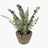 Flora Eucalyptus 50 cm