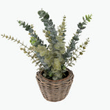 Flora Eucalyptus 50 cm