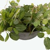 Flora Olivine