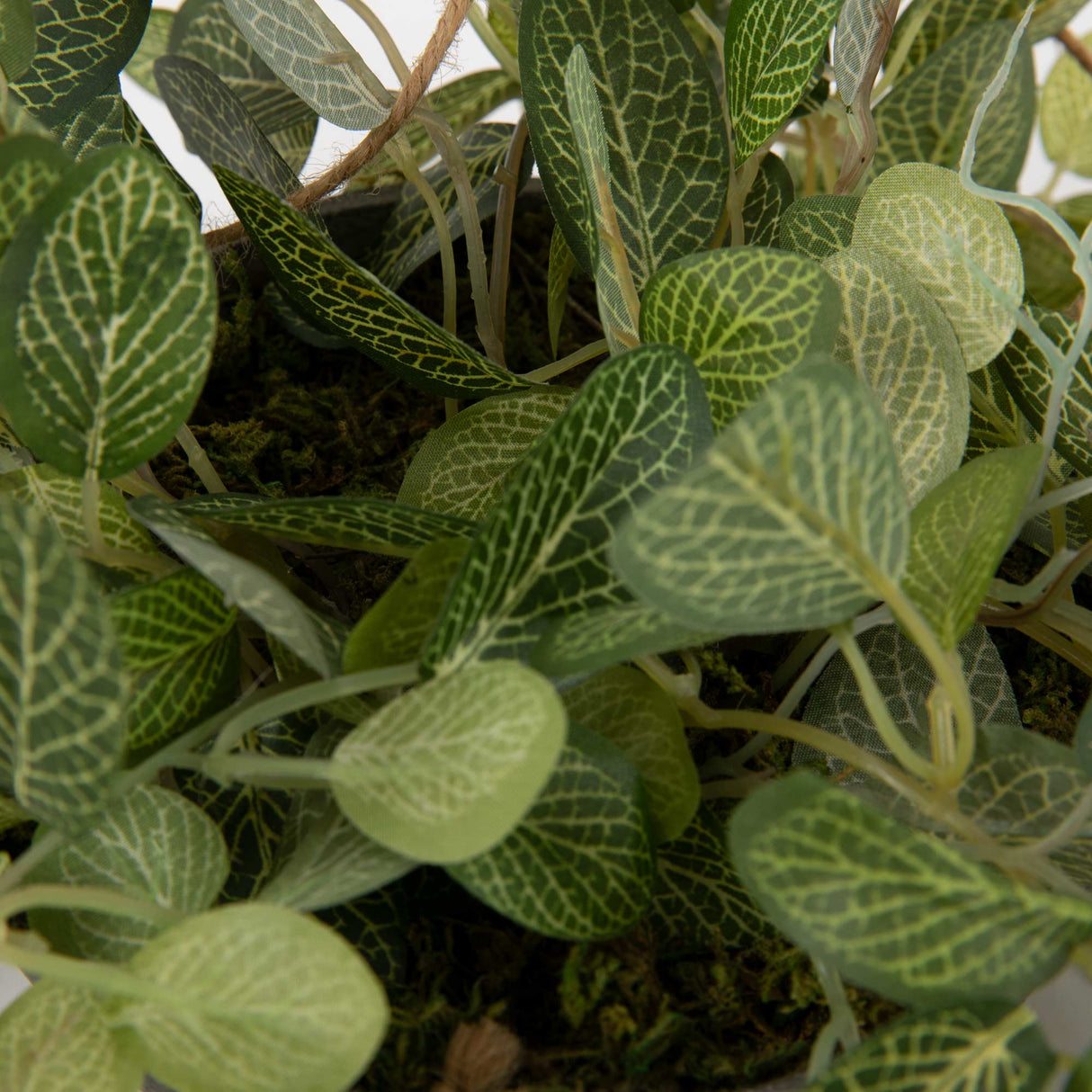 Flora Olivine