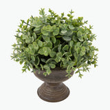 Flora Eucalyptus 20 cm