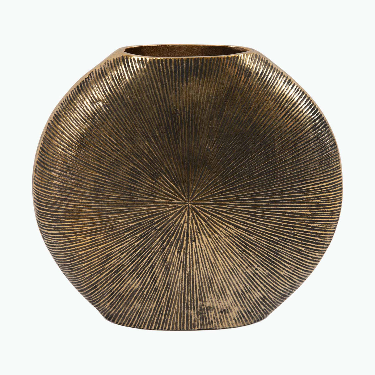 Salerno vas H: 27 cm
