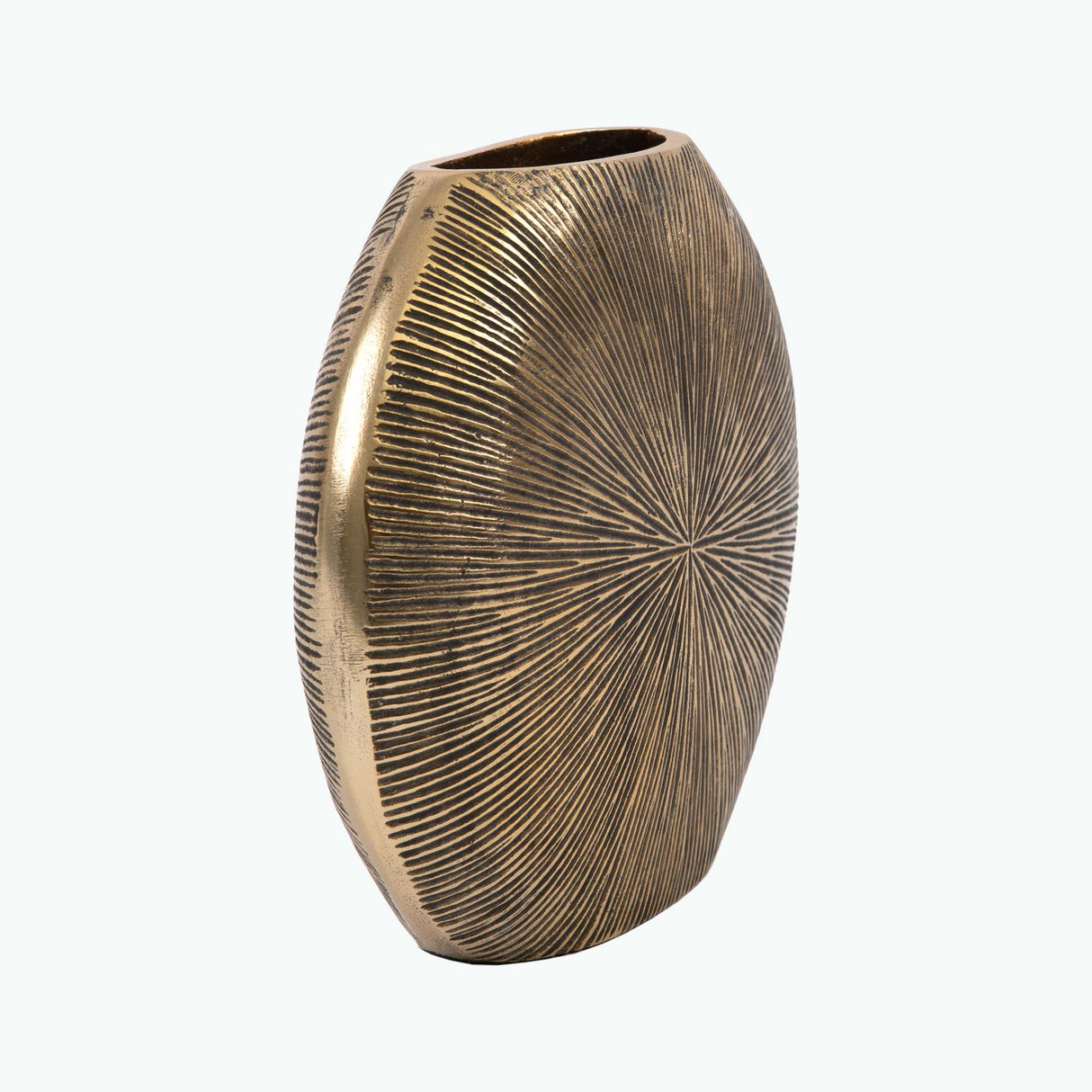 Salerno vas H: 20 cm