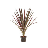 Flora Red Star 85 cm