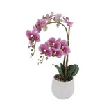 Orkidé rosa 53 cm