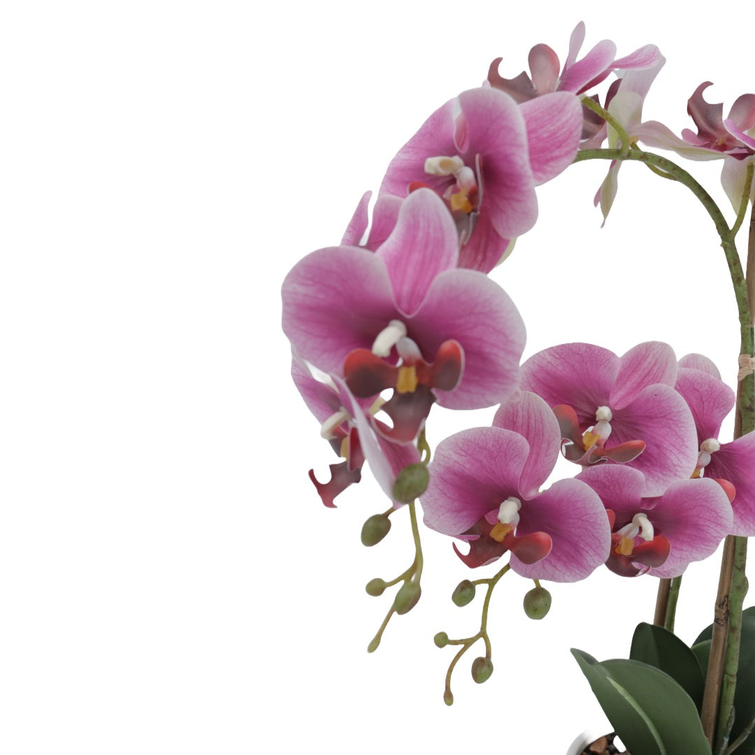 Orkidé rosa 53 cm