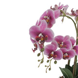 Orkidé rosa 53 cm
