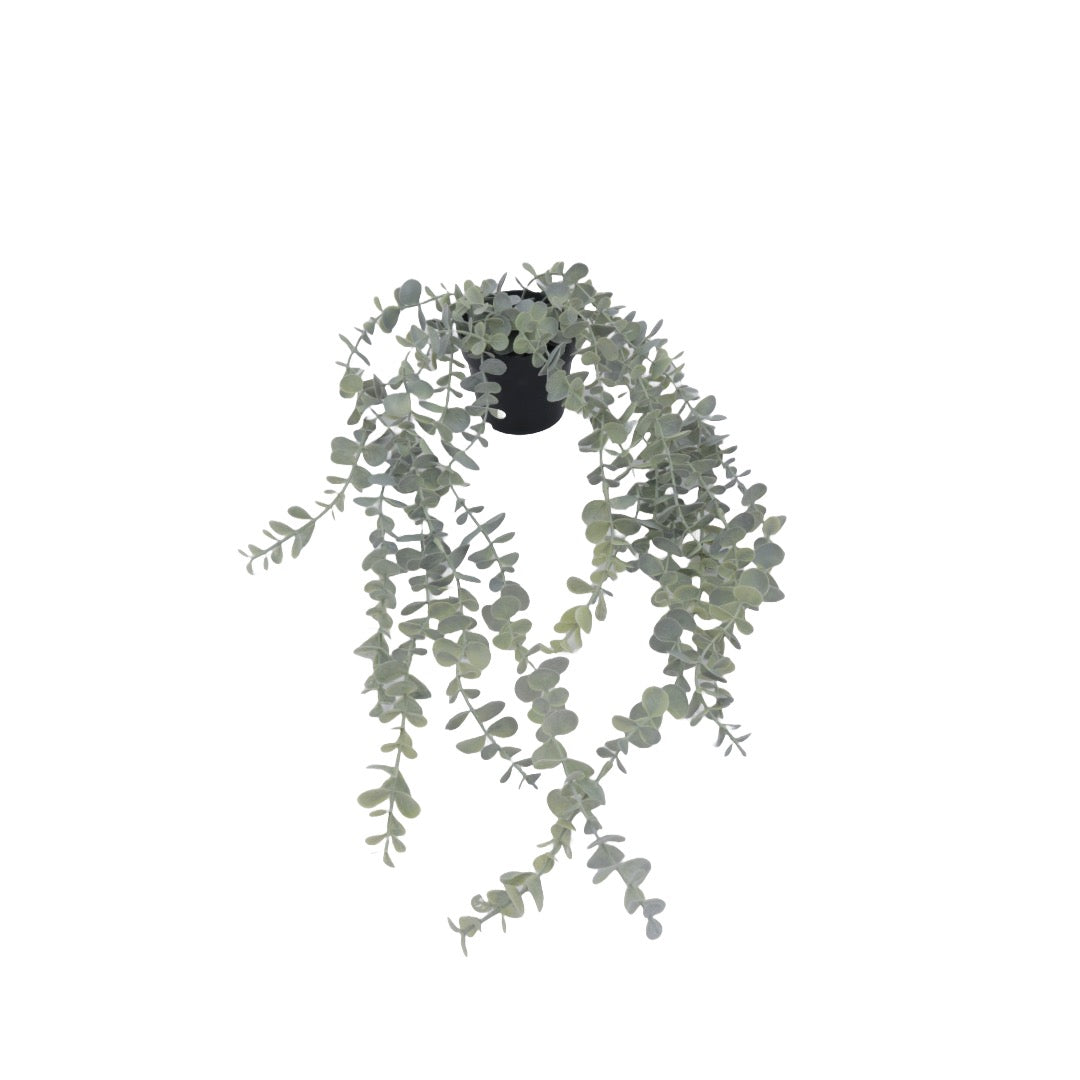 Flora hängande suckulent 65 cm