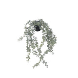 Flora hängande suckulent 65 cm