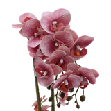Orkidé rosa 47 cm m/hvit kruka
