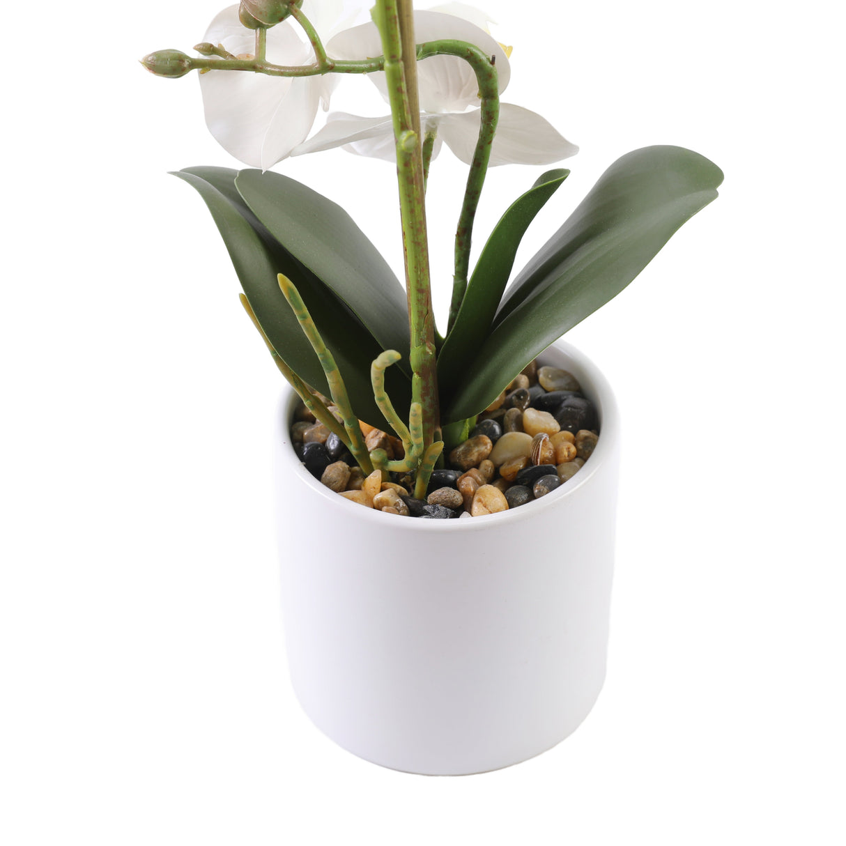 Orkidé vit 35 cm