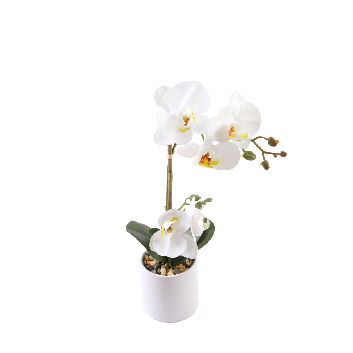 Orkidé vit 35 cm