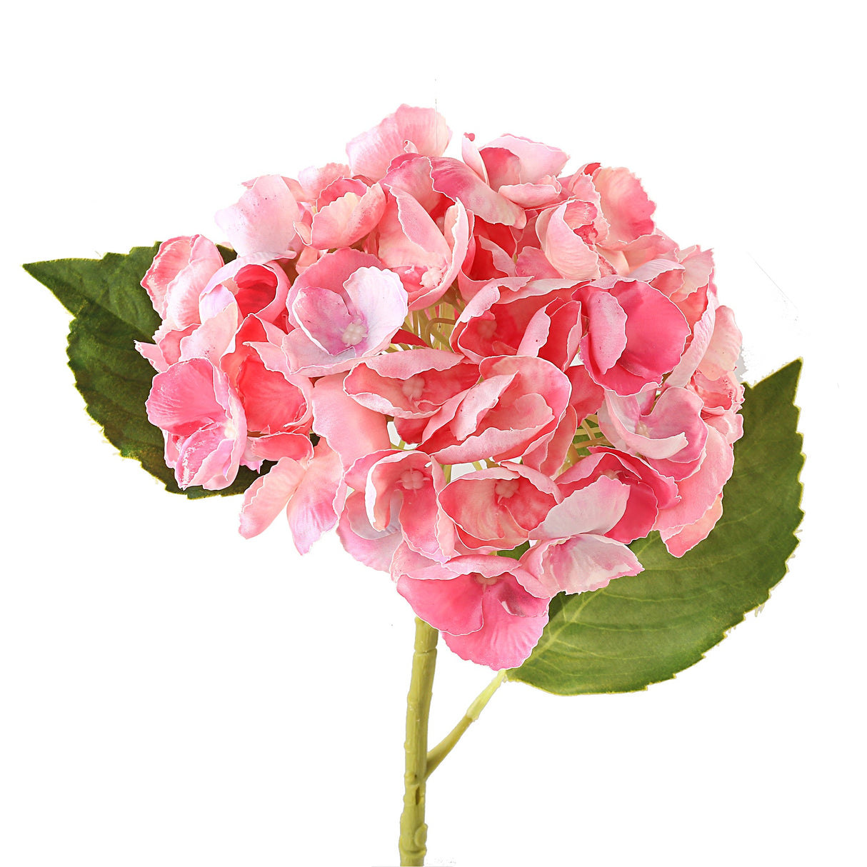 Hortensia rosa 3 st