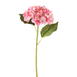 Hortensia rosa 3 st