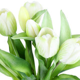 Tulip tulpaner vit 33 cm 7 st
