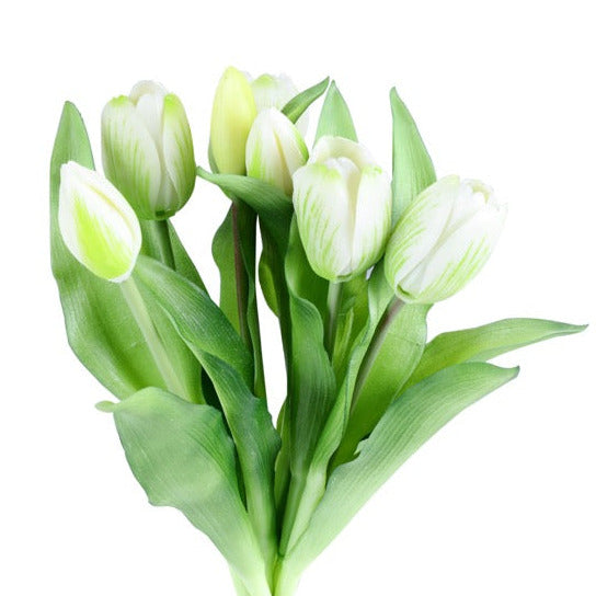 Tulip tulpaner vit 33 cm 7 st