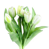 Tulip tulpaner vit 33 cm 7 st