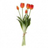 Tulip tulpaner gul/röd 40 cm 5 st