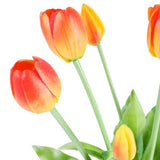 Tulip tulpaner gul/röd 40 cm 5 st