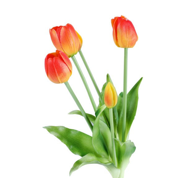 Tulip tulpaner gul/röd 40 cm 5 st