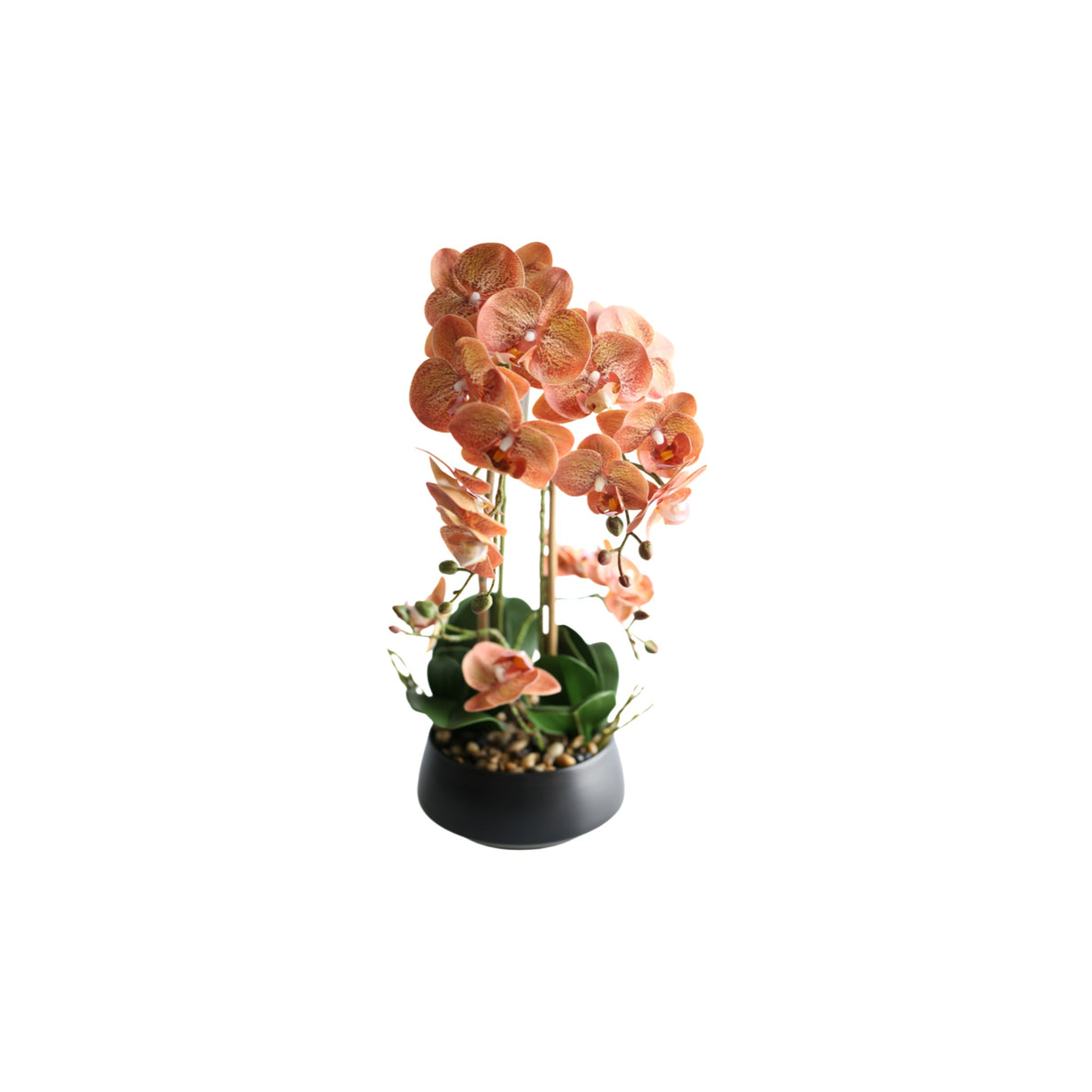 Orkidé brun/vinröd 47 cm
