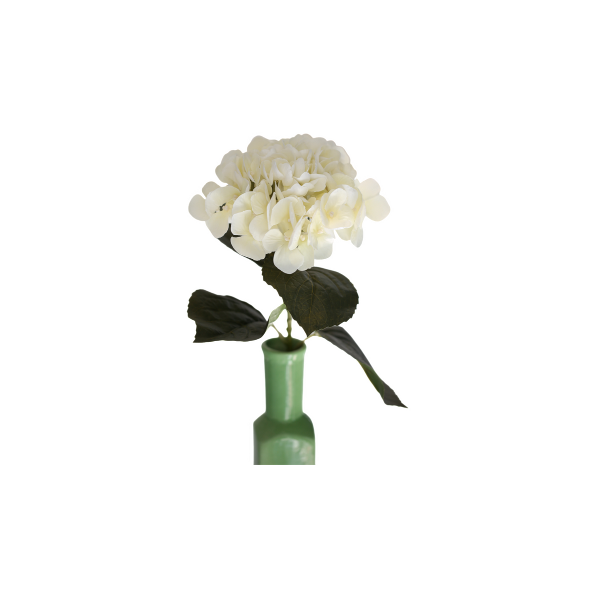 Hortensia vit 62 cm